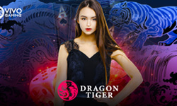 Vivo Gaming - Dragon Tiger